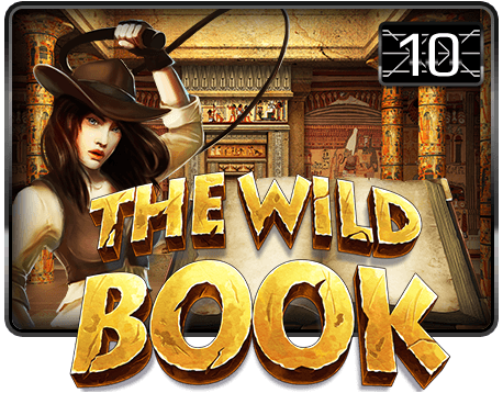 The Wild Book